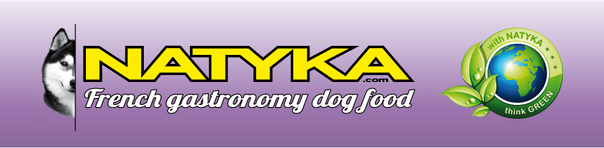 Logo natyka