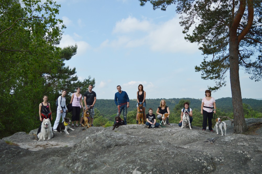 Cani Rando Fontainebleau