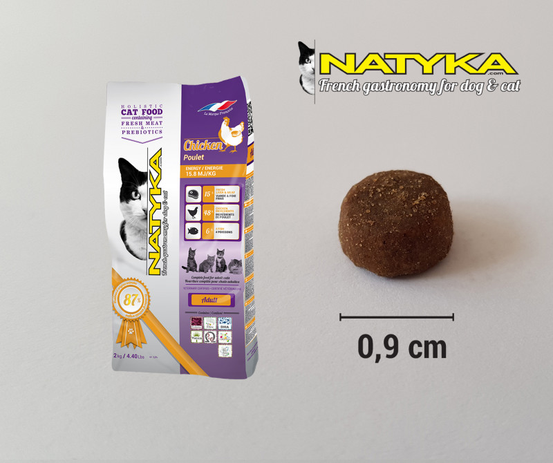 Chat poulet croquette