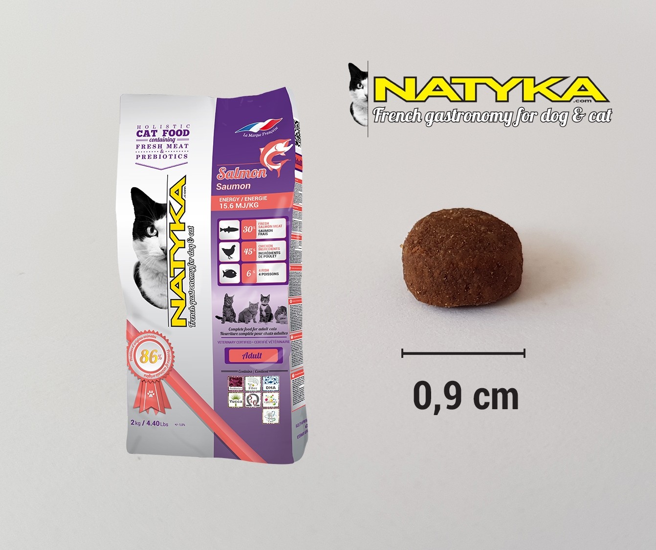 Chat salmon croquette