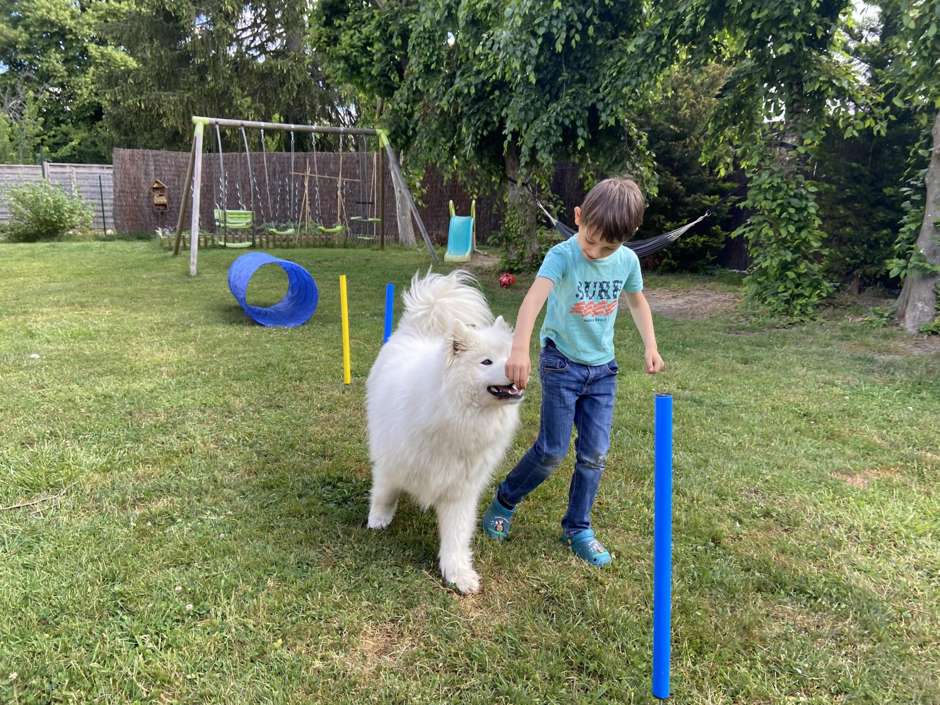 Enfant et samoyed