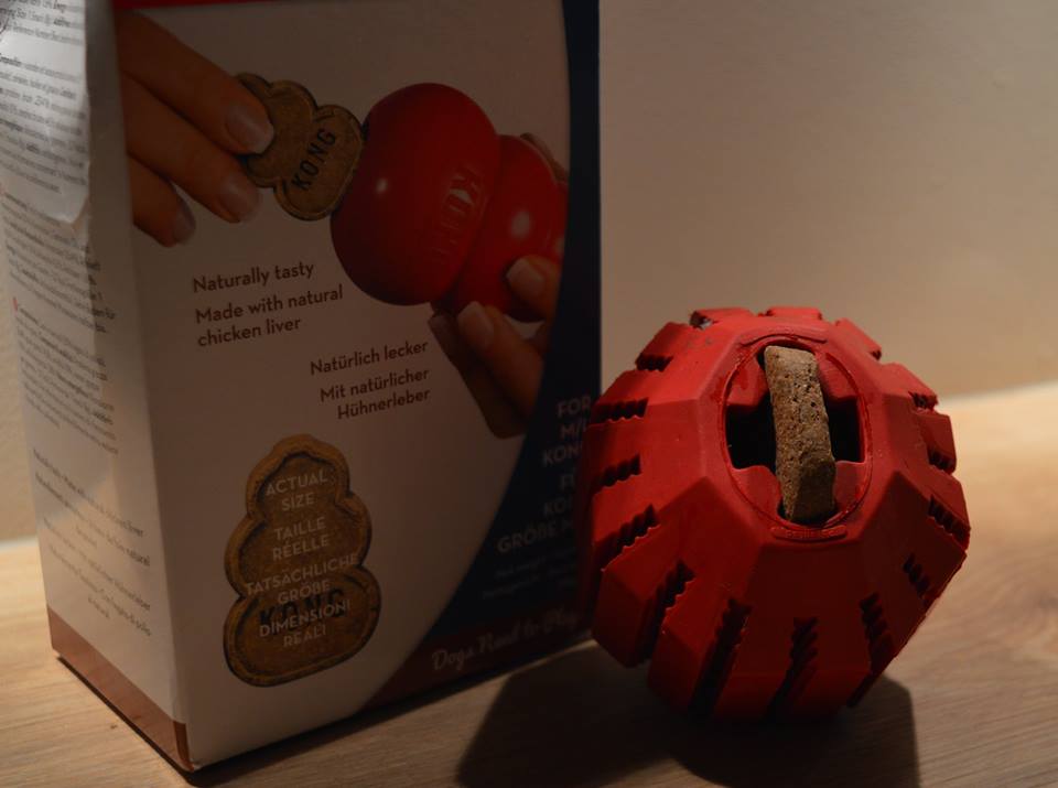 Kong2