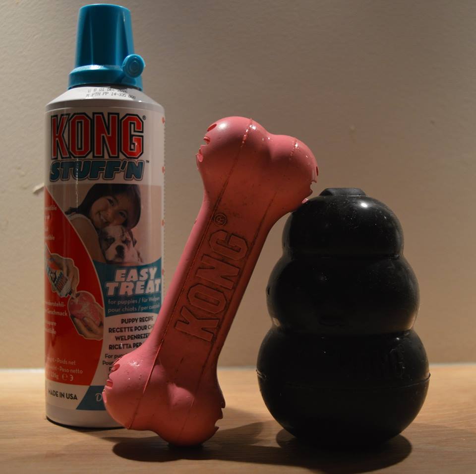 Kong5