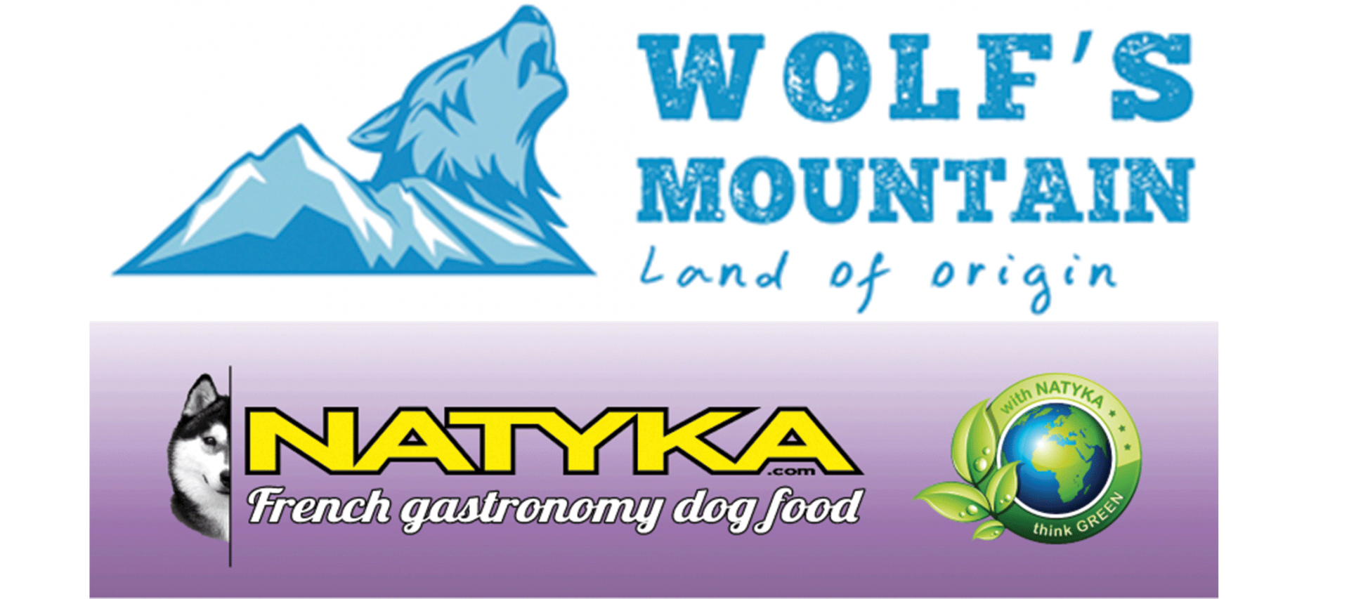 Logo natyka wm