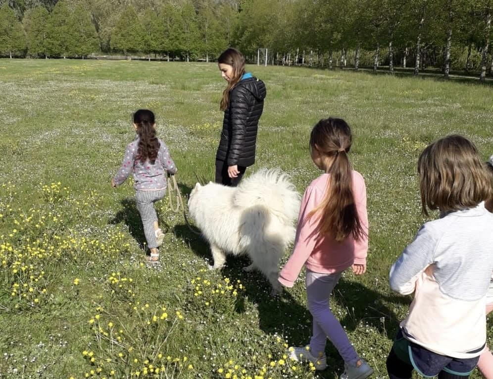 Mediation animale enfant