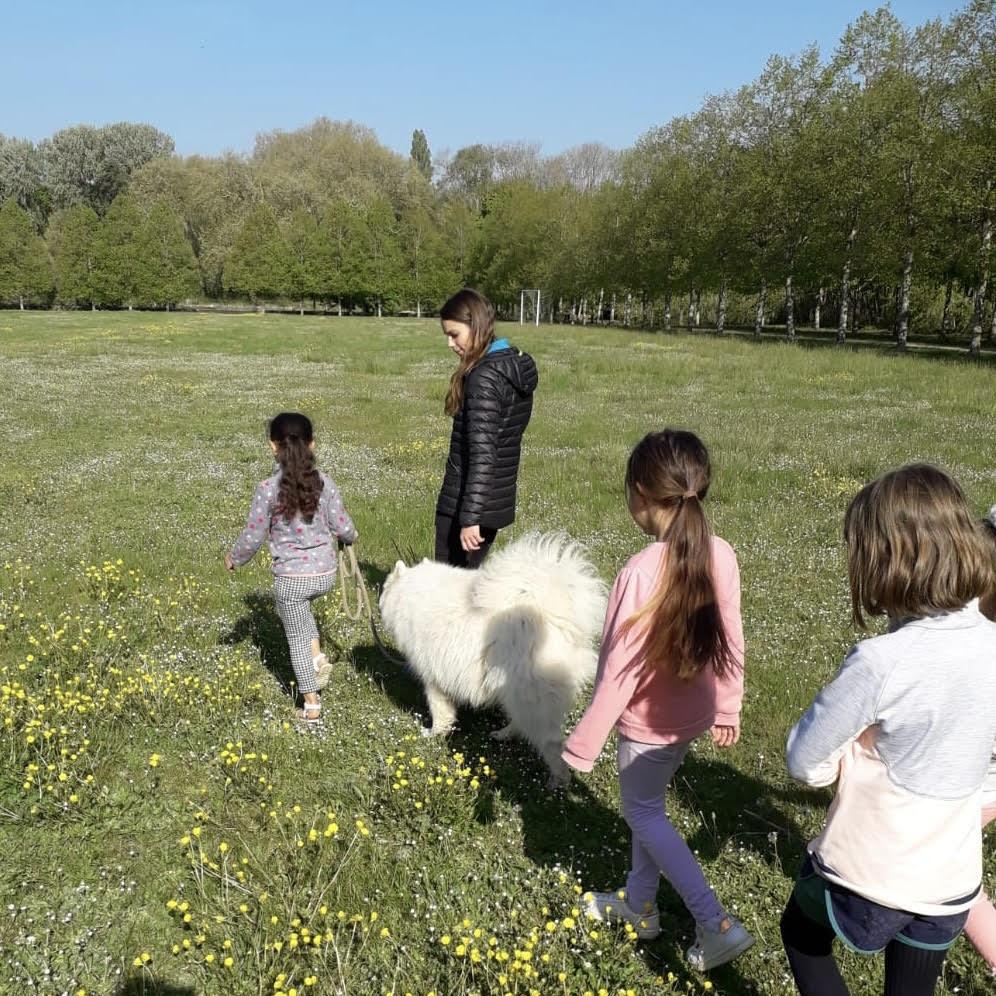 Mediation animale enfant