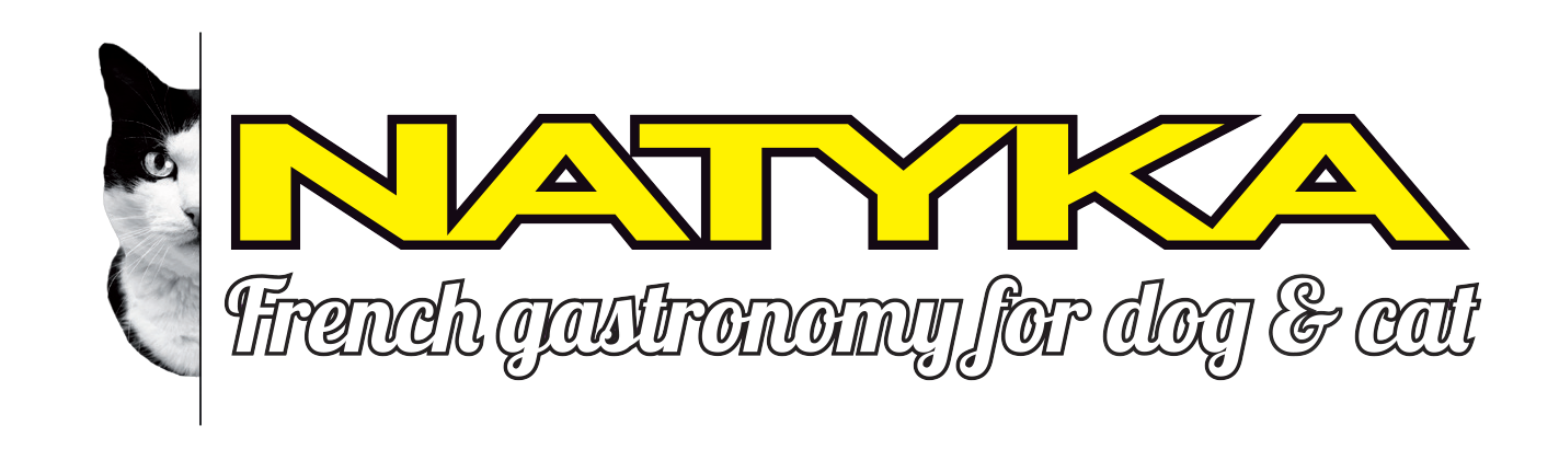 Natyka cat logo