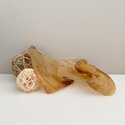 Oreille boeuf